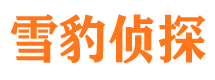 临港找人公司